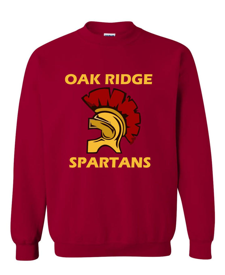 Custom School Spirit T-Shirt, Screen Printed Mascot Logo Apparel