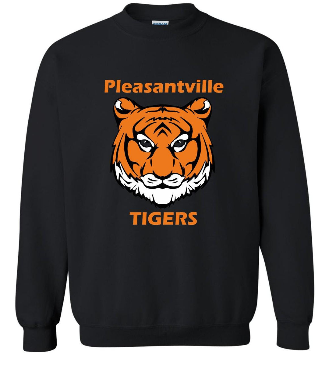 School Sports T-Shirts and Fundraiser Apparel, Screen Printed Shirts with School Logo or Mascot, Sports Teams Uniforms &amp; PTA Events