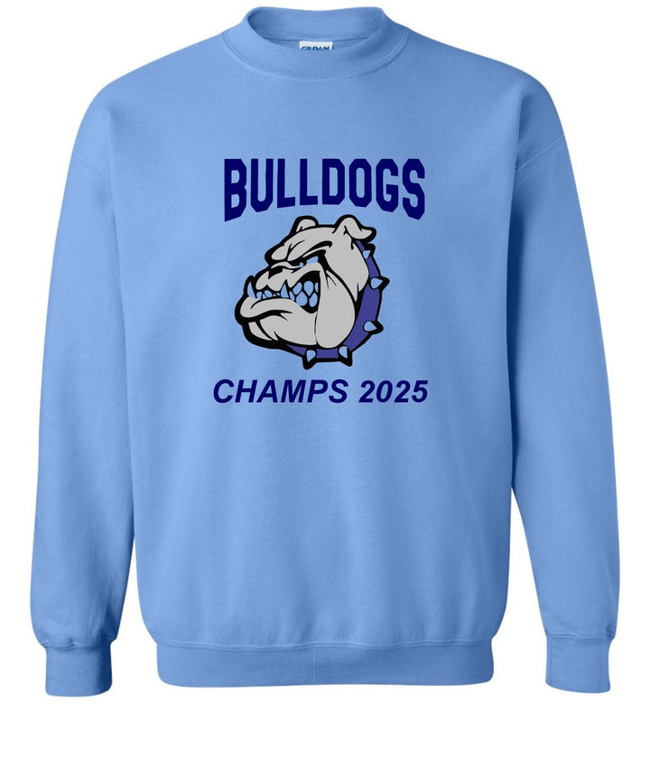 Custom School Spirit T-Shirt, Screen Printed Mascot Logo Apparel